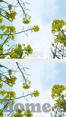 大赢家足球即时比分直播比分-大赢家足球即时比分直播，球迷心中的实时战场
